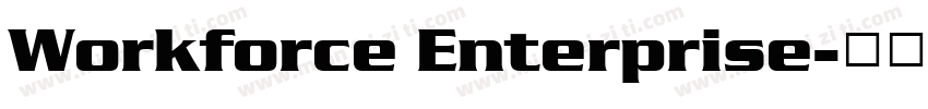 Workforce Enterprise字体转换